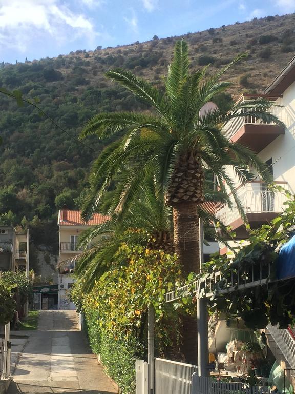 Guest House Bajceta تْشيرسيك نوفي المظهر الخارجي الصورة